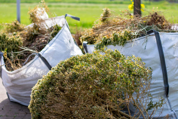 Best Same-Day Junk Removal  in Oroville, CA